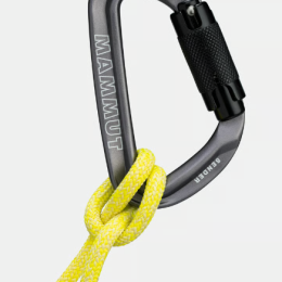 Sender Twist Carabiner - Mousquetons | Mammut