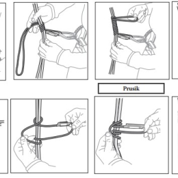 Jammy - Anneaux | Beal