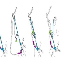 Longe Expresso - Longes | Beal