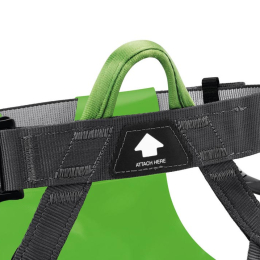 Harnais Canyon Club - Harnais | Petzl