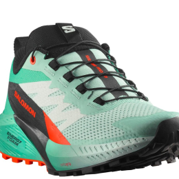 Sense Ride 5 femme Bay/bk - Chaussures | Salomon