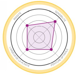 Solution Comp Femme - Chaussons | La Sportiva