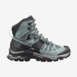 Quest 4 Gtx Femme Bleu - Chaussures | Salomon