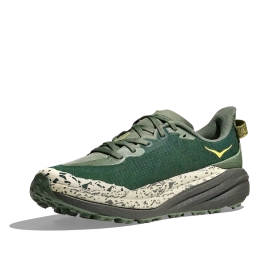 Speedgoat 6 Fern Asphalt Grey - Chaussures | Hoka