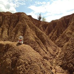 Peluche Alpha - Equipement Outdoor | Chullanka