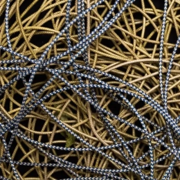 Cordelette De Lancer 60m - Elagage | Edelrid