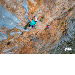 Ange L Bleu - Mousqueton | Petzl
