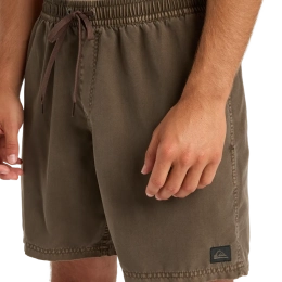 Everiday Surfwash Volley 17 Chocolate Brown - Short | Quiksilver