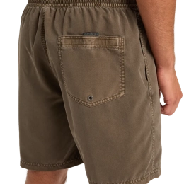 Everiday Surfwash Volley 17 Chocolate Brown - Short | Quiksilver