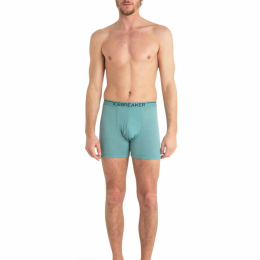 Boxer Anatomica Cloud Ray - Boxer | Icebreaker