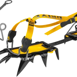G12 LT Dual-Matic EVO