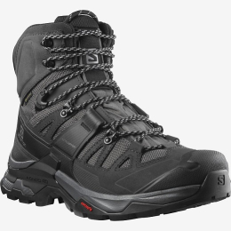 Chaussure Quest 4 Gtx Magnet / Black / Quarry - Chaussures | Salomon