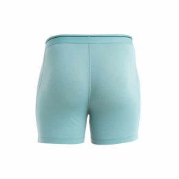 Boxer Anatomica Cloud Ray - Boxer | Icebreaker