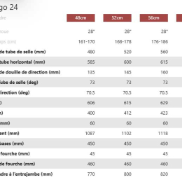 Domingo 24 Femme Black - Velos | Winora