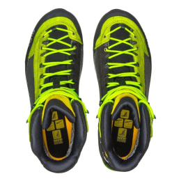 Crow Gtx Green Cactus / Sulphur Spring - Chaussures | Salewa