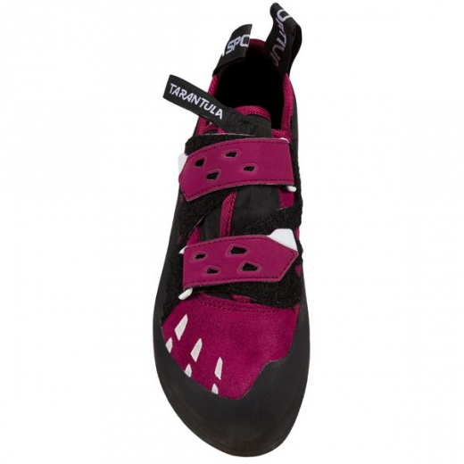Tarantula Lady Red Plum