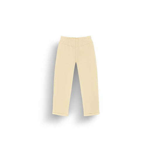 Pantalon Femme Hampy Wood Ash
