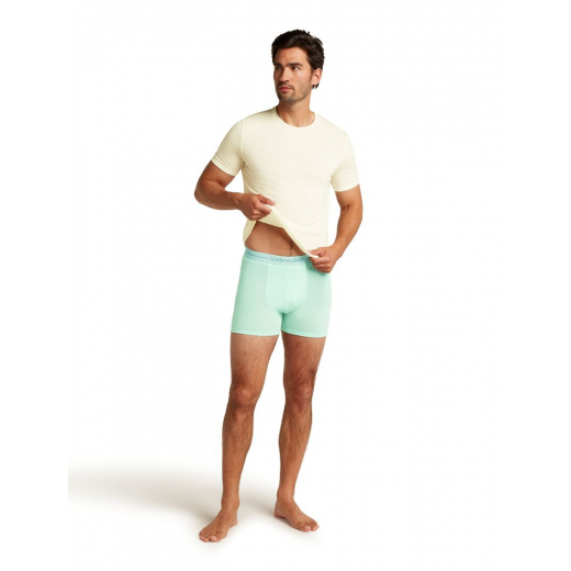 Boxer Anatomica Mint