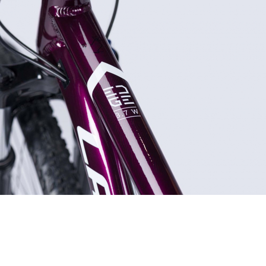 Edge 3.7 W