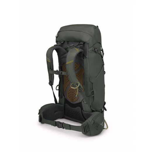 Kestrel 38 Bonsai Green