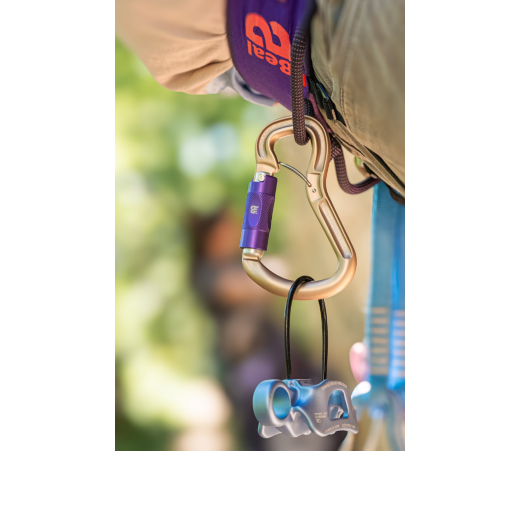 CONNECTOR ORIENT EXPRESS BI MATIC MATT BLUE