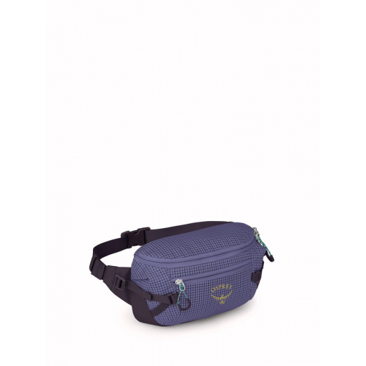 Transporter Waist Pack Euphoria Purple Ink