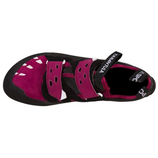 Tarantula Lady Red Plum