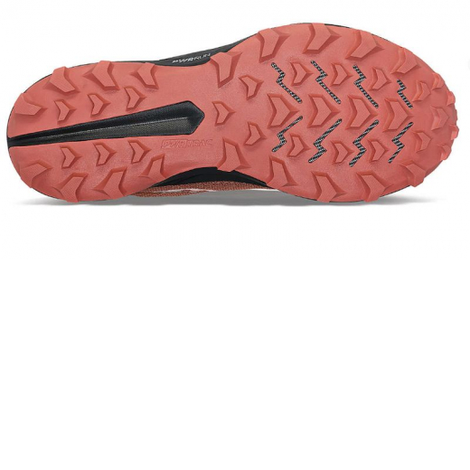 Peregrine 14 Gtx F Clove