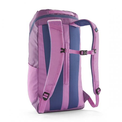 Black Hole 25 Brisk Purple