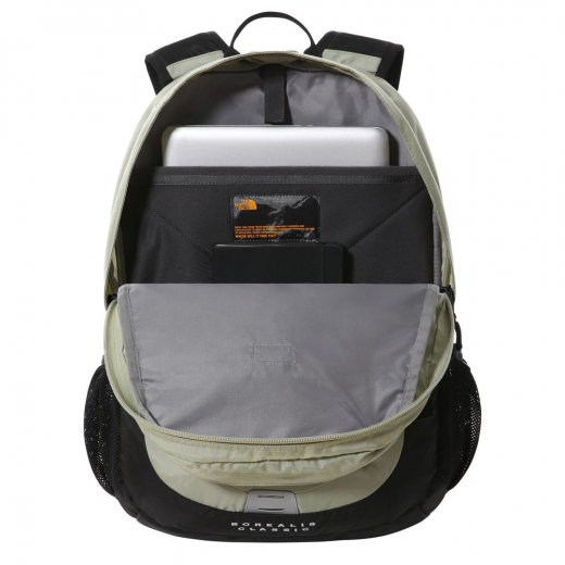Borealis Classic 29 Tea Green