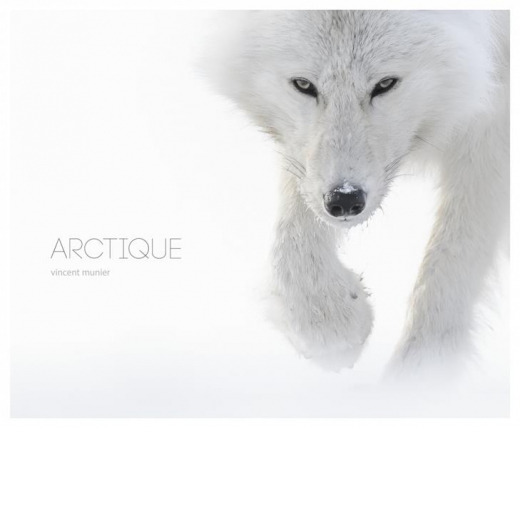 Arctique - Beaux Livres | Kobalann