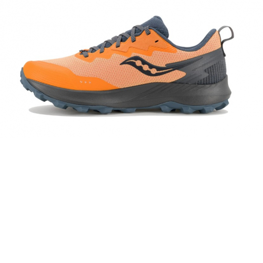 Peregrine 14 Gtx Peel Shadow