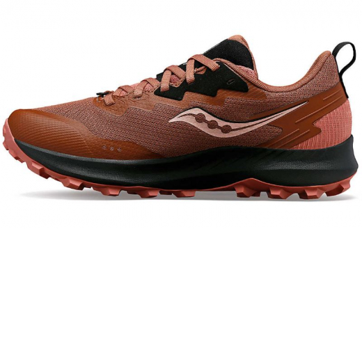 Peregrine 14 Gtx F Clove