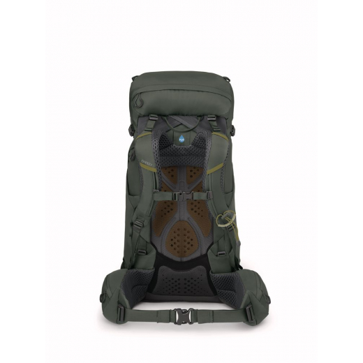 Kestrel 38 Bonsai Green