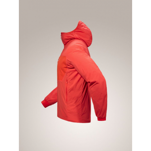 Veste à capuche Proton SL Dynasty