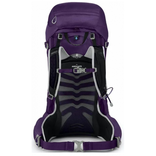 Tempest 40 Femme Purple