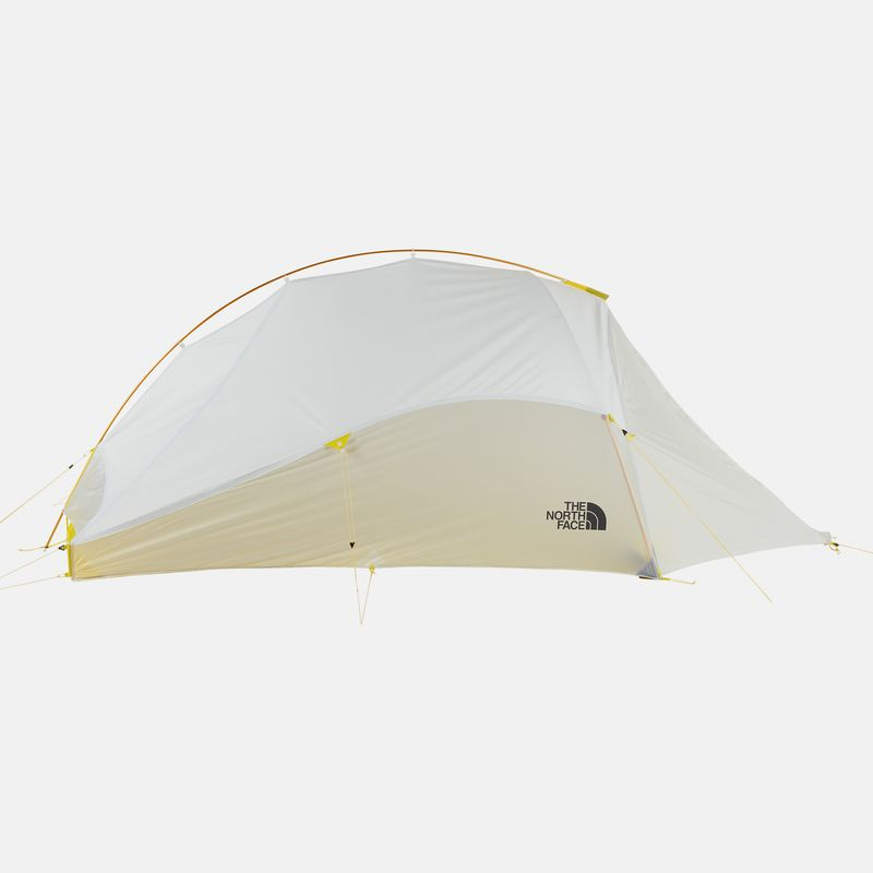 Tadpole 2 best sale