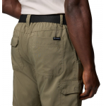 Pantalon Silver Ridge Utility Stone Green