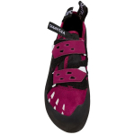 Tarantula Lady Red Plum