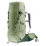 Aircontact Core 45 + 10 SL Grove Ivy