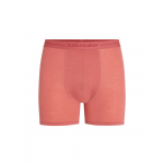 Boxer Anatomica Plume