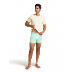 Boxer Anatomica Mint
