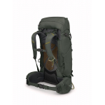 Kestrel 38 Bonsai Green
