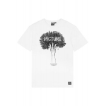 T-shirt D&s Tree Blanc Mc