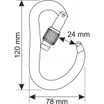 Mousqueton Atom Lock Gun Metal