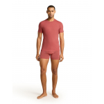 Boxer Anatomica Plume