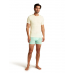 Boxer Anatomica Mint