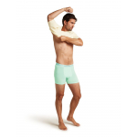 Boxer Anatomica Mint