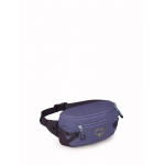 Transporter Waist Pack Euphoria Purple Ink