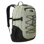 Borealis Classic 29 Tea Green